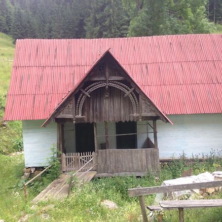 Moara Lui Ivan Hanasesti Exterior foto
