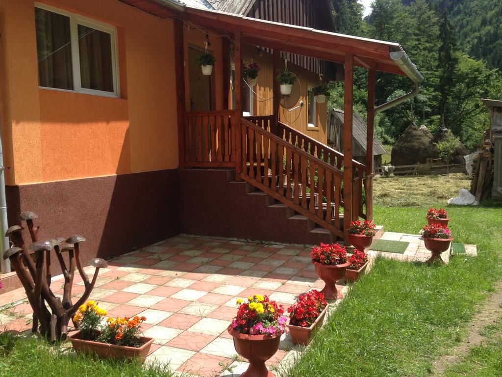 Moara Lui Ivan Hanasesti Exterior foto